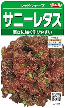 サニーレタス fit=scale-down,w=1200